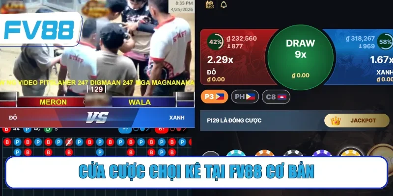 Cửa cược chọi kê tại FV88 cơ bản